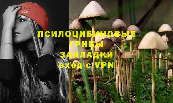 прущие грибы Алексин