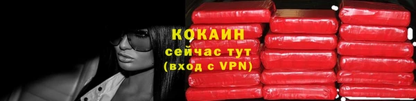 стаф Алзамай