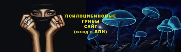 стаф Алзамай