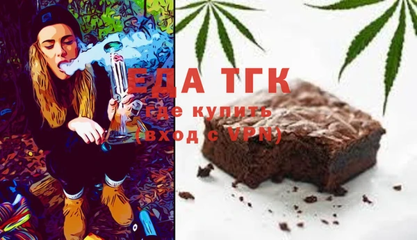стаф Алзамай