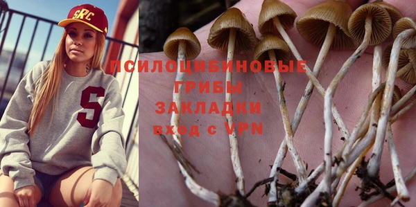 стаф Алзамай