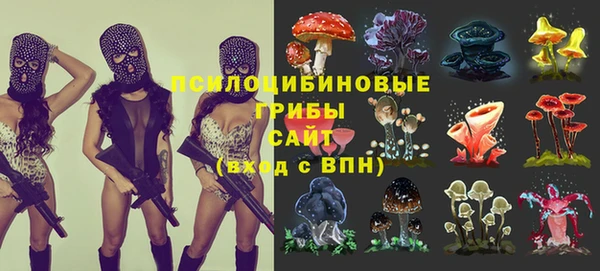 прущие грибы Алексин