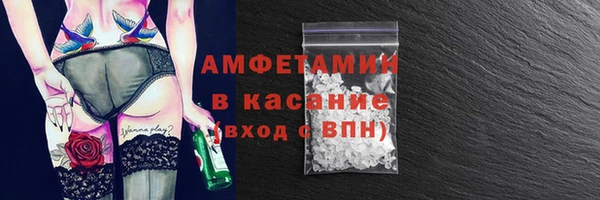 стаф Алзамай